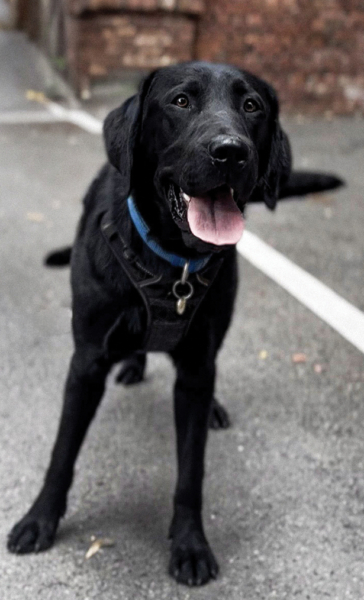 Onyx