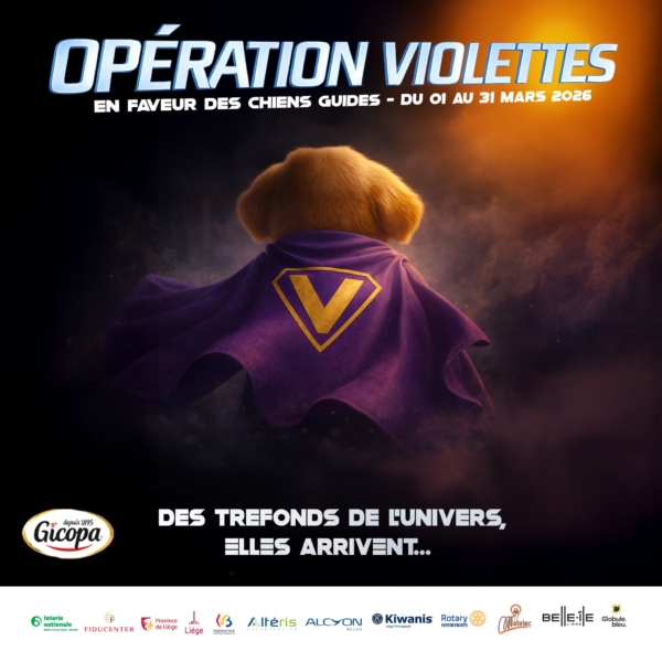 623365175 903569238697077 7772205550539239545 N